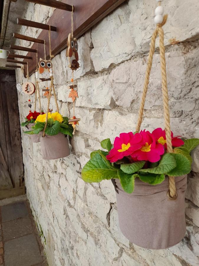 Kalipe Dolomiti Apartment Soffranco Luaran gambar