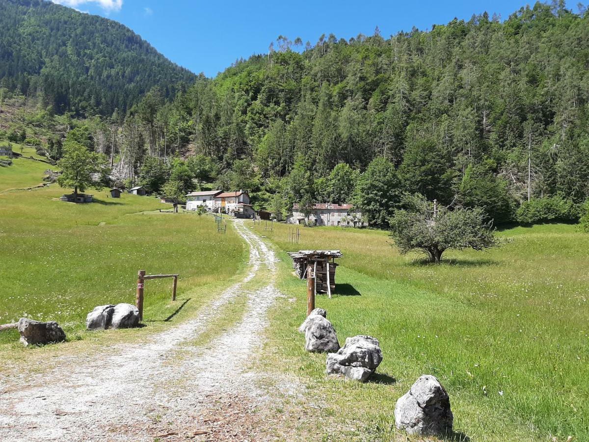 Kalipe Dolomiti Apartment Soffranco Luaran gambar