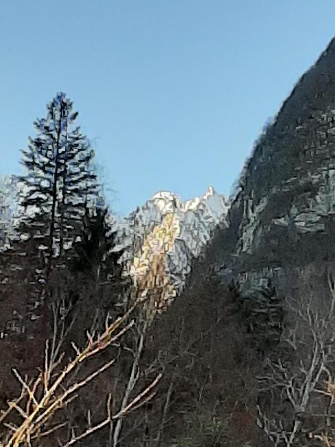 Kalipe Dolomiti Apartment Soffranco Luaran gambar